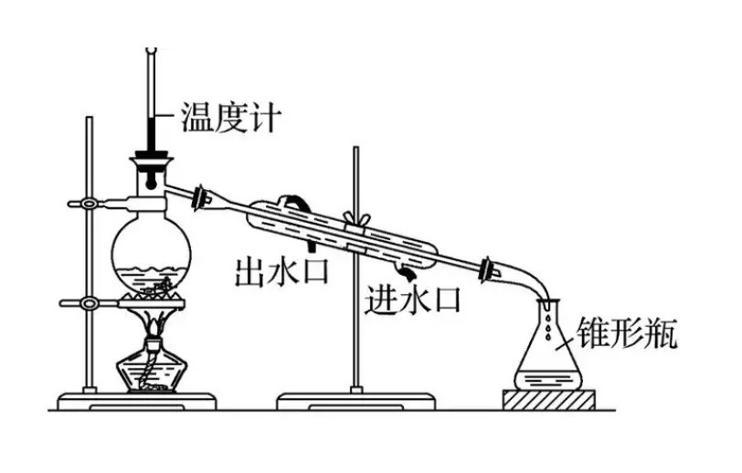 1735519766449636.jpg 28.jpg