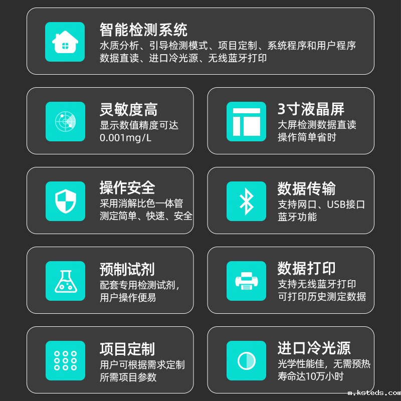 1735522175854039.jpg 800-2.jpg