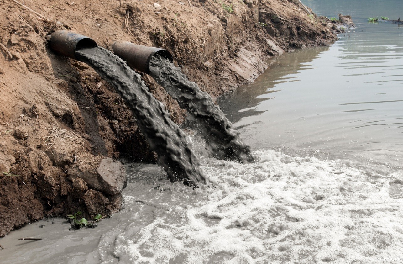 1736903505344237.jpg 10.jpg