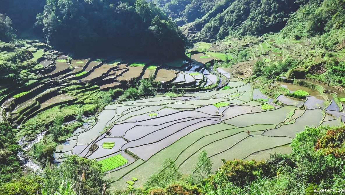 1739251336181808.jpg 6.jpg