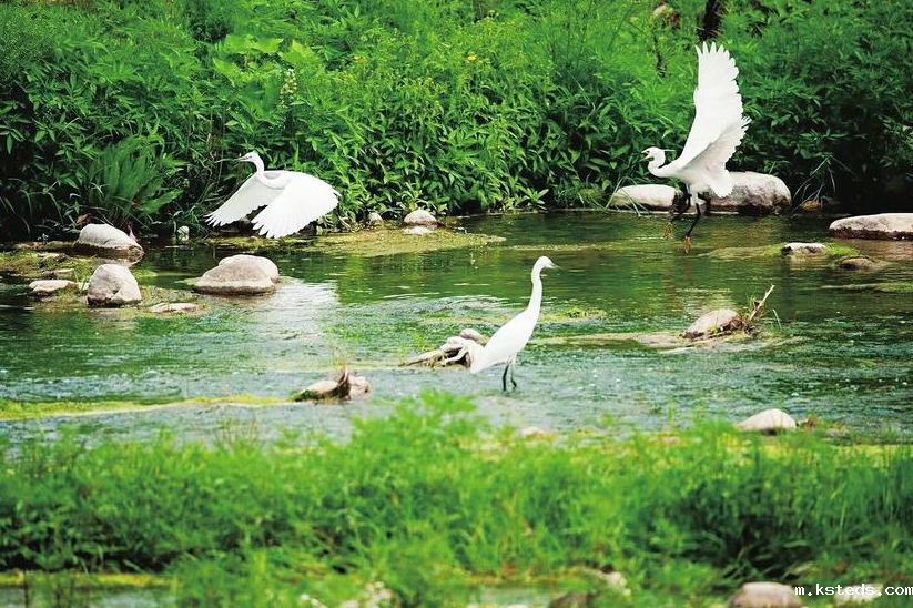 1741746052680120.png image.png