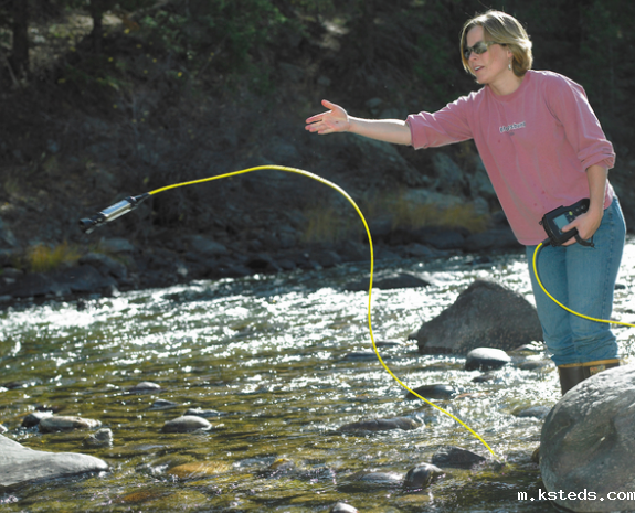 在线溶解氧水质分析测试仪