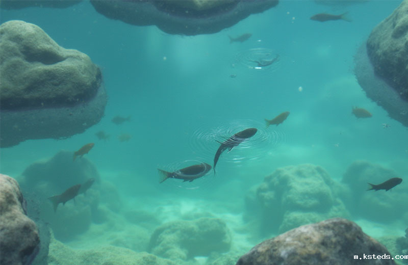 在二次供水中水质检测色度的要领