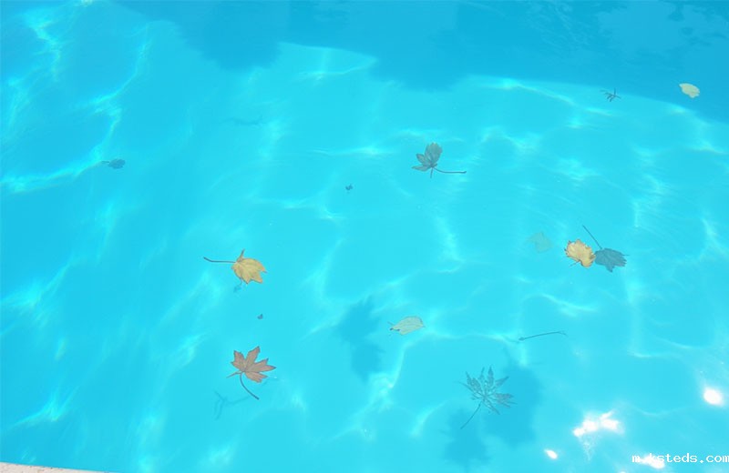 水质消毒剂指标之总氯-余氯-臭氧-二氧化氯及水质监测检测仪