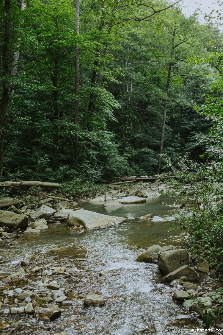 湖南岳阳游动电流仪
