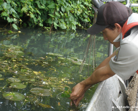 水产养殖.png 水质管理关键指标.png
