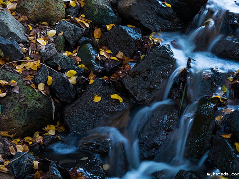 1757654125531038.jpg 1636617520139125.jpg