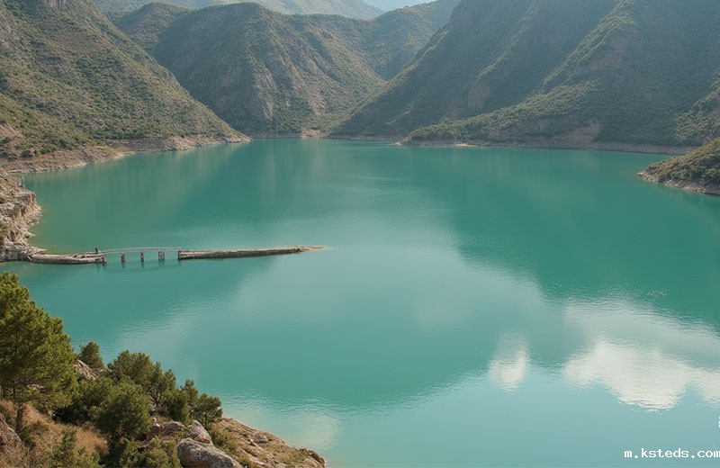 1757984240765459.jpg 202505081540383023.jpg