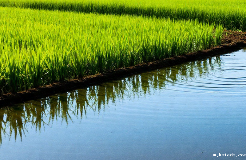 1758588930885239.png image (1).png