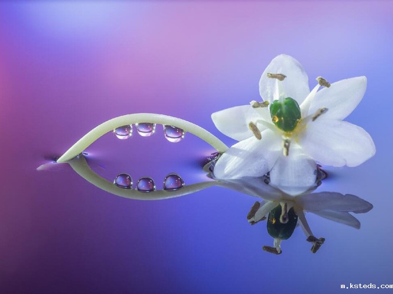 1758590023133726.jpg 1654760010191250.jpg