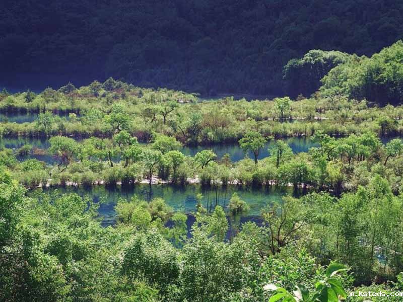 溶解氧检测仪.jpg 溶解氧测定分析仪.jpg