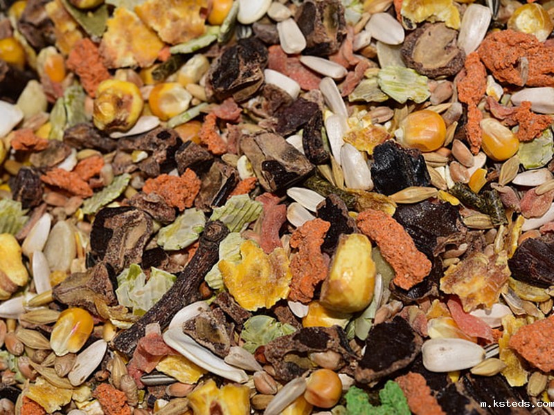 蒸馏挥发酚检测仪.jpg 挥发酚检测标准、方法与应用场景