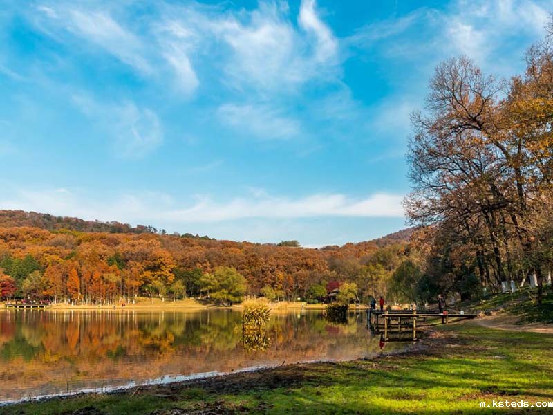 氨氮新利官网官方网站.jpg 氨氮监测仪的全面解析.jpg