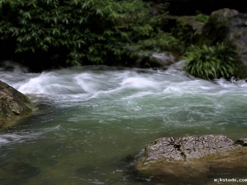 1759195078134528.jpg 1658732852181586.jpg