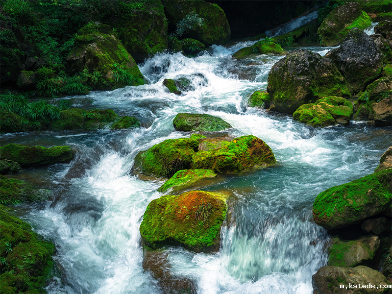 其监测原理、原因分析及常用方法.png COD新利官网官方网站
