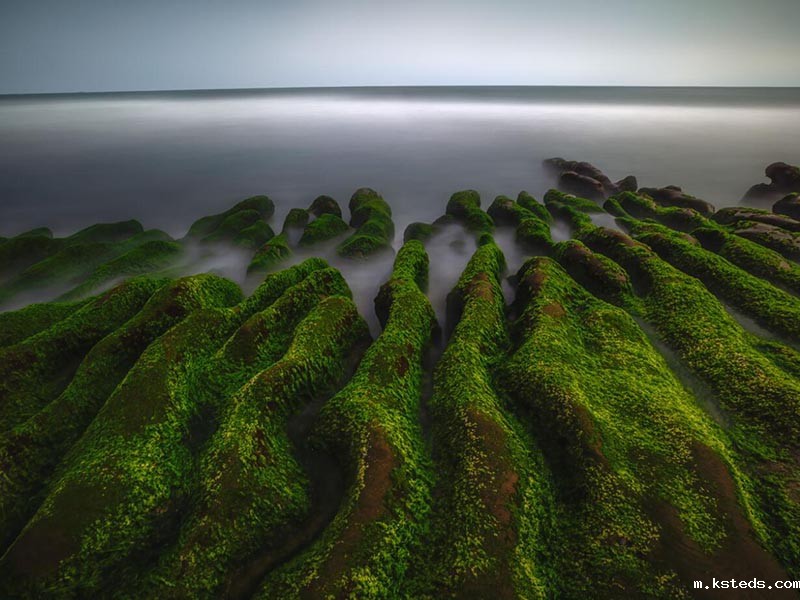 1759900655138471.jpg COD水质测定仪.jpg