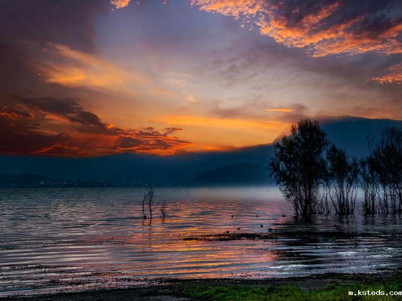 污水处理厂氨氮超标应急处理的折点加氯法与沸石吸附法.jpg 污水处理厂氨氮新利官网官方网站