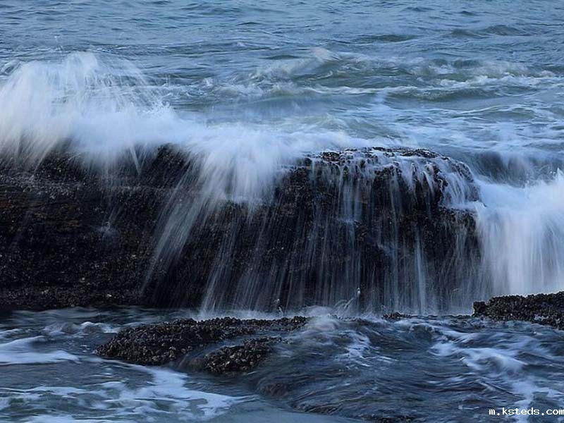 总氮水质测定分析仪的选择与应用.jpg 总氮水质测定仪
