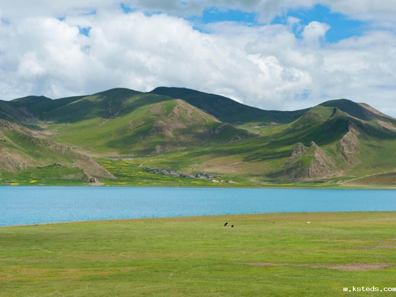 电厂锅炉溶解氧监测其重要性、标准与解决方案.jpg 便携式微量溶解氧检测仪