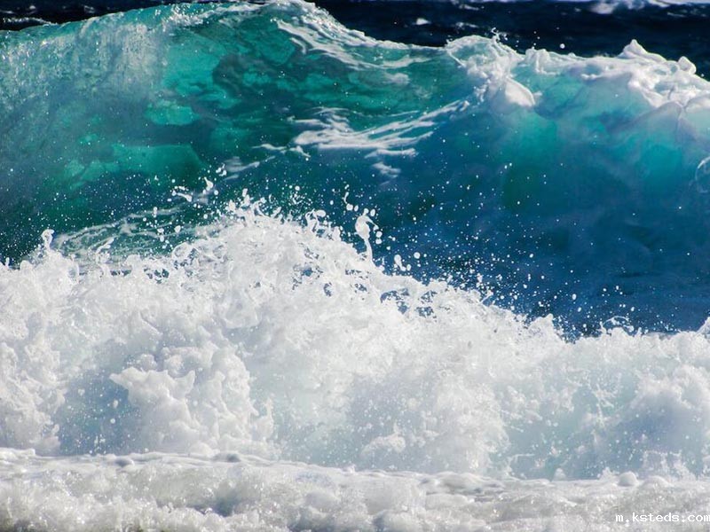 应急执法新利官网官方网站设备国标指标与选型指南 余氯新利官网官方网站