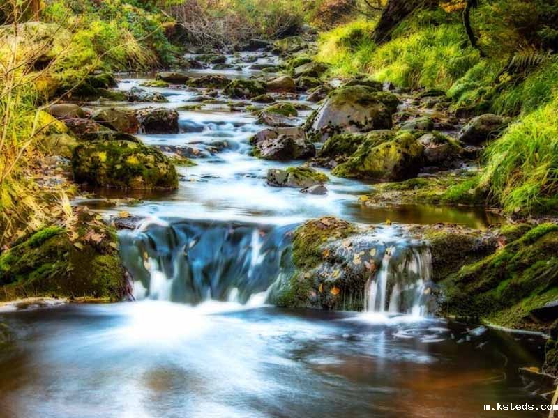 蓝绿藻爆发的危害及检测方法 藻类新利官网官方网站