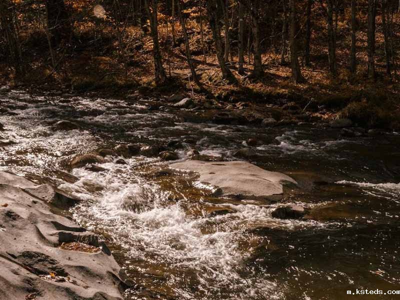 黑龙江伊春水质苯胺检测仪