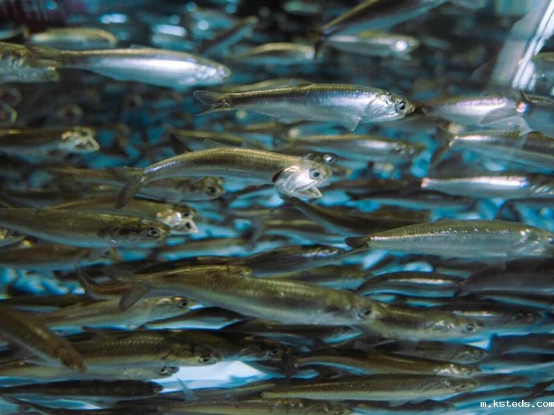 1762821604357611.jpg 1675316619839284.jpg