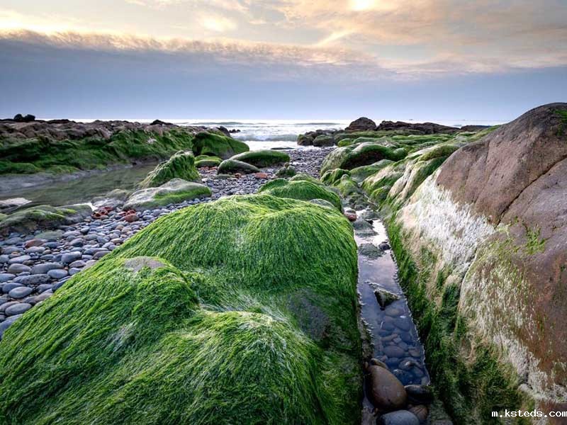 便携式新利官网官方网站器选择指南七台河区域场景、参数与维护 黑龙江七台河在线COD测定分析仪