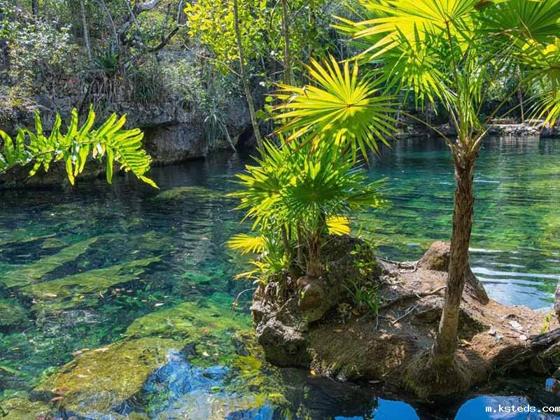 溶解氧新利官网官方网站的校准方法与应用 陕西延安溶解氧新利官网官方网站.jpg