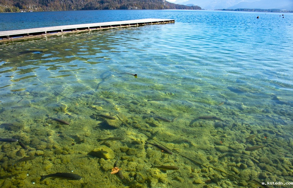 COD零值、负值、乱跳 三连击 六步自查表让比色结果秒回正轨 水质COD监测仪.jpg