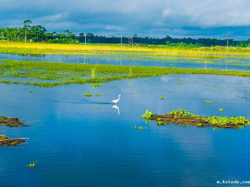 1764738482775238.jpg 1680759766200025.jpg