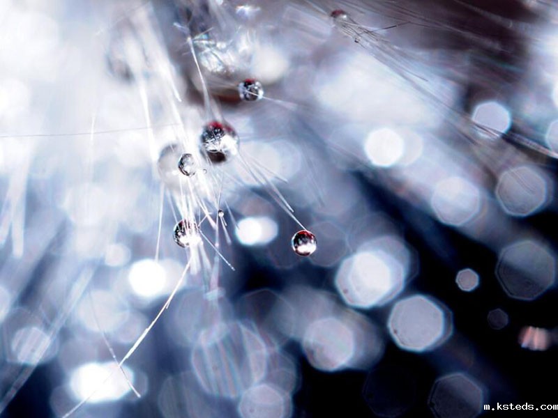 1764808606890035.jpg 1661149652386832.jpg