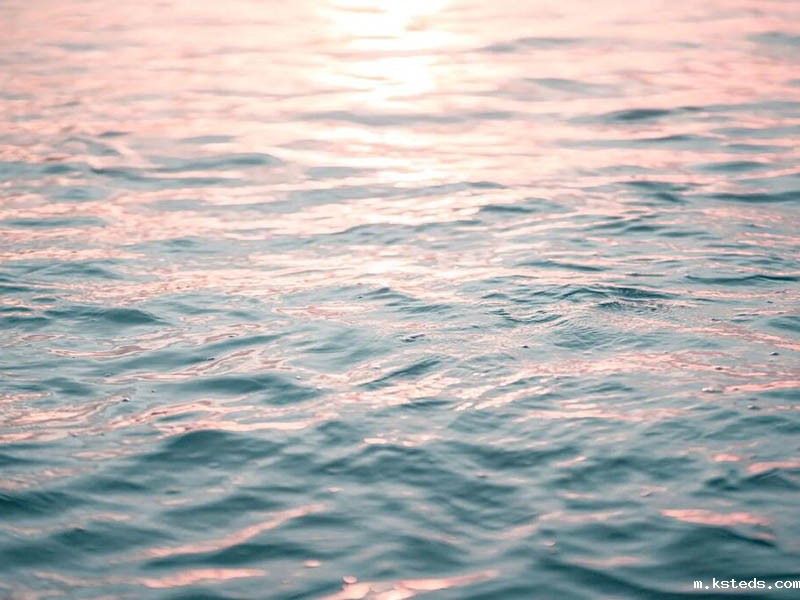 1总有机碳(TOC)分析仪0.001-1.6 mg/L全场景操作笔记 临沂总有机碳TOC水质分析仪