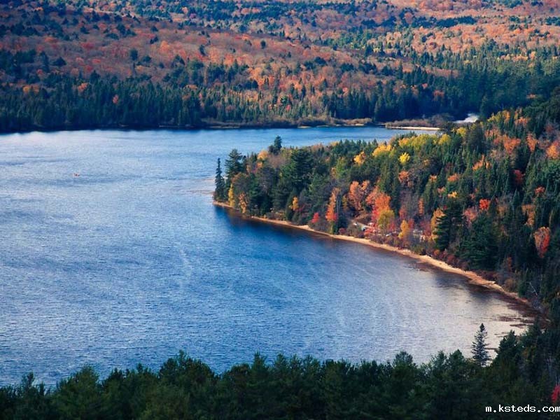 江西九江火电厂锅炉水微量SiO₂检测