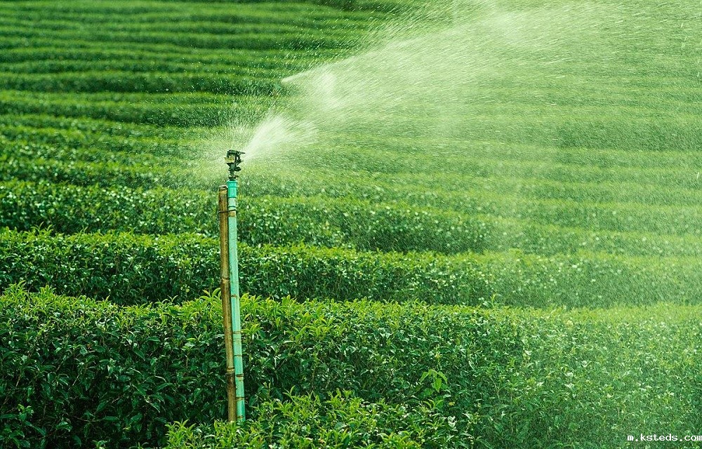 1766194748633501.jpg 5378334dc16ca9cd5ea51333b39ca9de.jpg